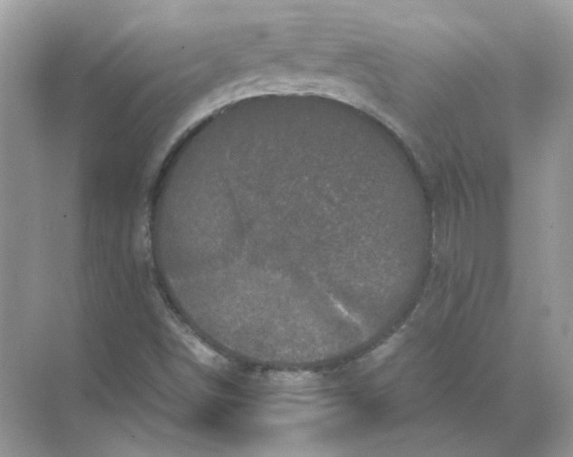 X0000071761498200607212356