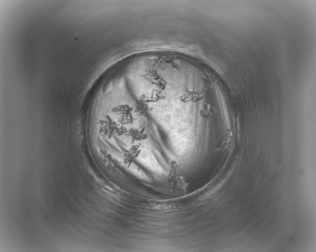 X0000071761501200607212356