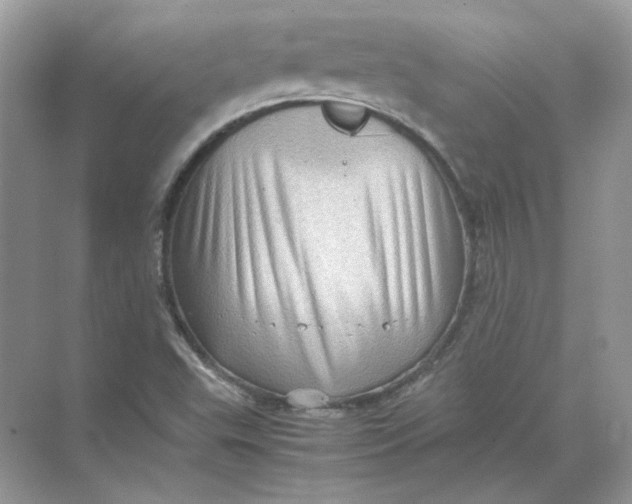 X0000071761503200607212356