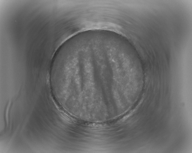 X0000071761505200607212356