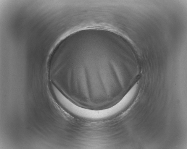 X0000071761506200607212356