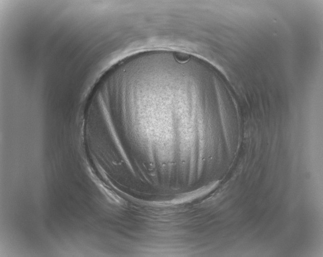 X0000071761507200607212356