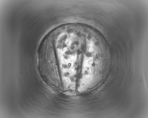 X0000071761509200607212356