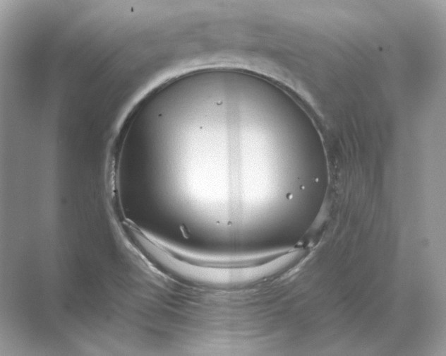 X0000071761510200607212356