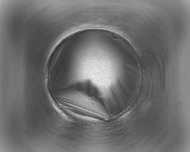 X0000071761511200607212356