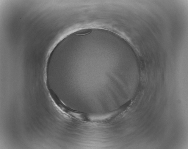 X0000071761512200607212356