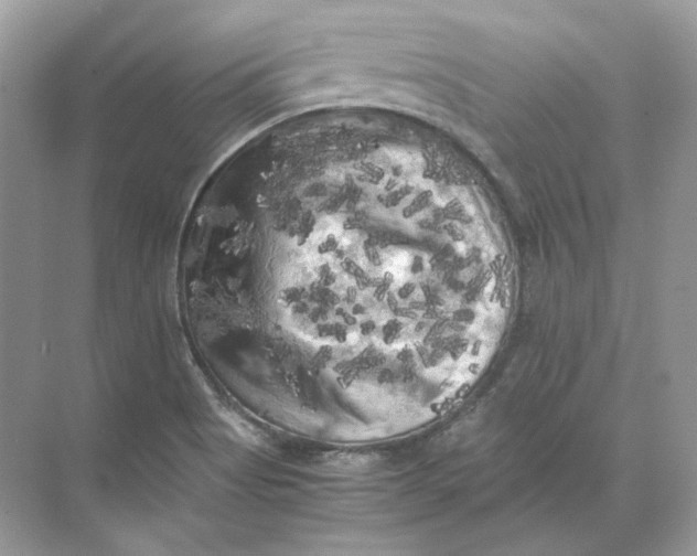 X0000071761513200607212356