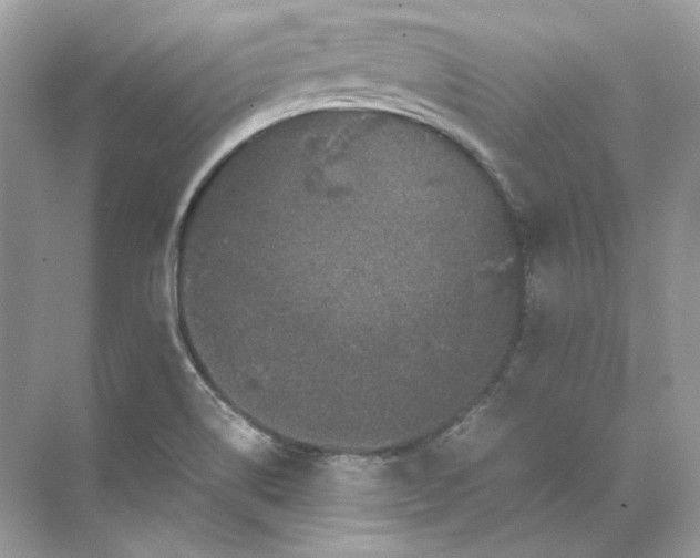 X0000071761514200607212356