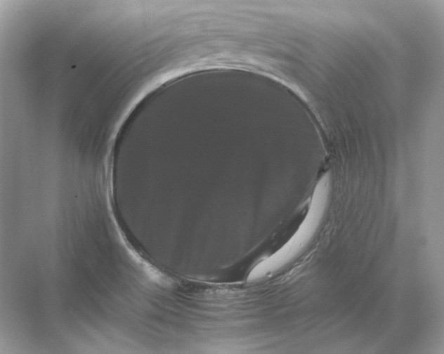 X0000071761515200607212356