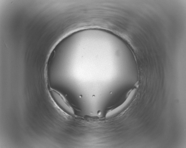 X0000071761516200607212356