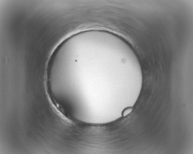 X0000071761518200607212356