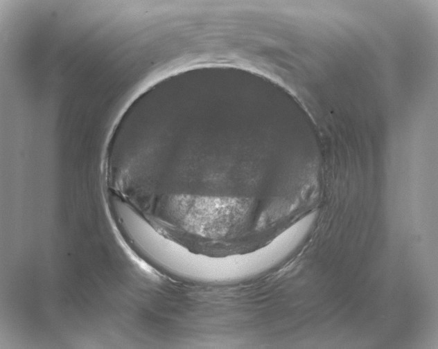 X0000071761519200607212356