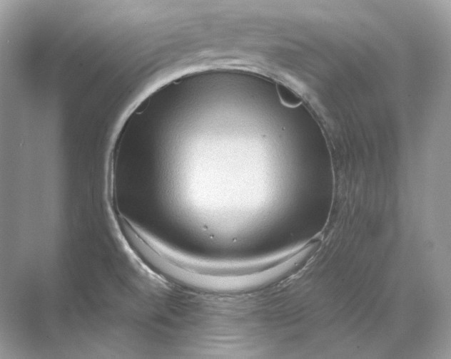 X0000071761520200607212356