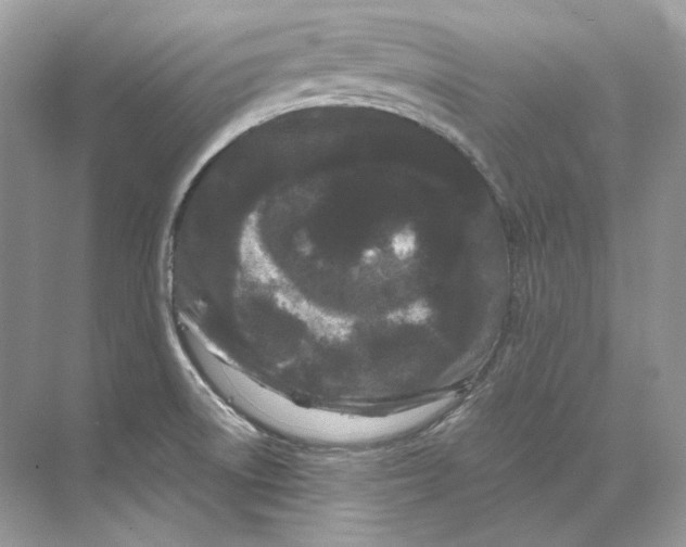 X0000071761522200607212356