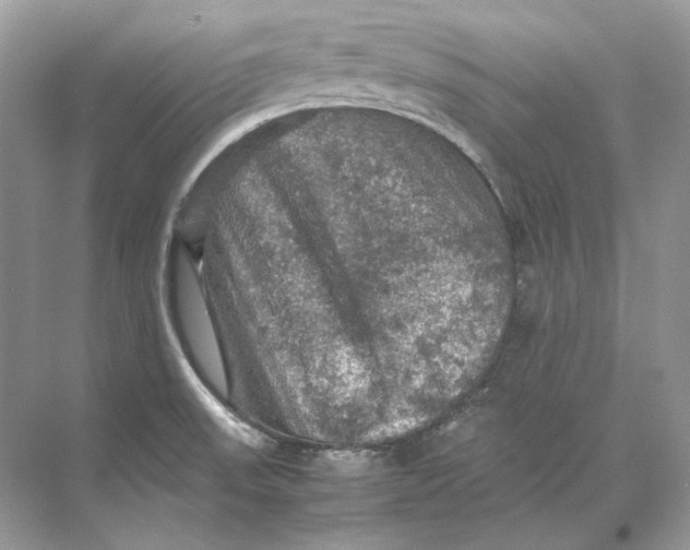 X0000071761523200607212356