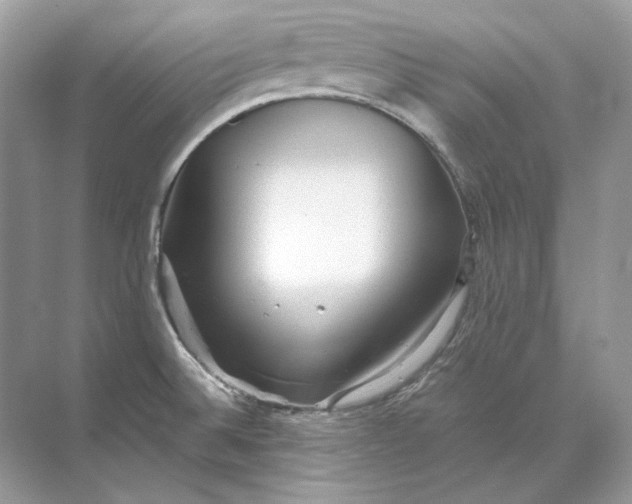 X0000071761524200607212356