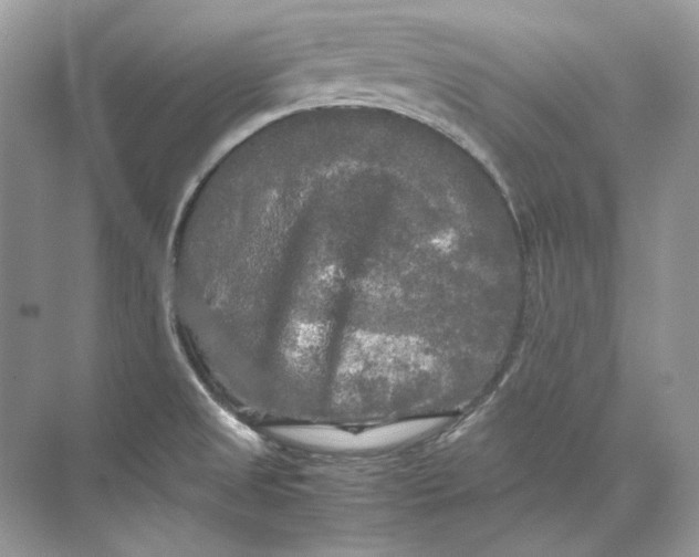 X0000071761525200607212356