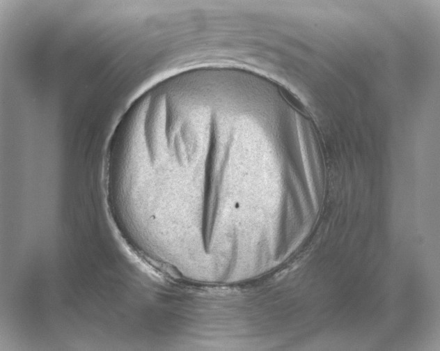 X0000071761526200607212356