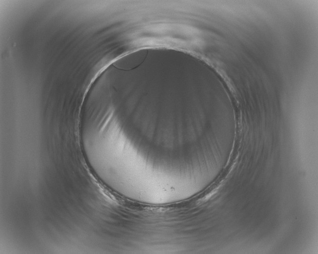 X0000071761529200607212357