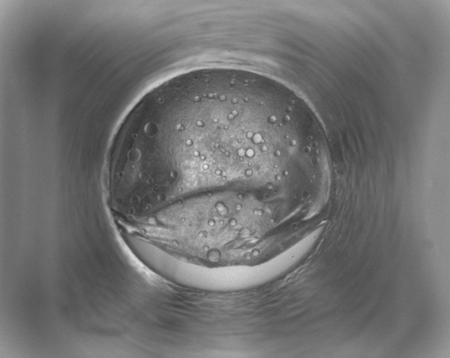 X0000071761531200607212357