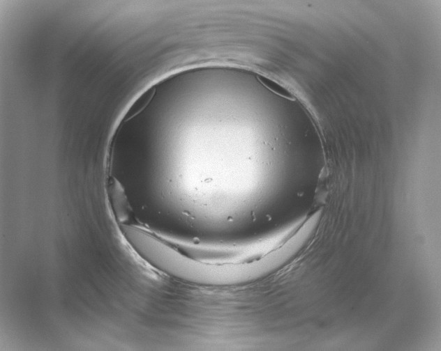 X0000071761532200607212357