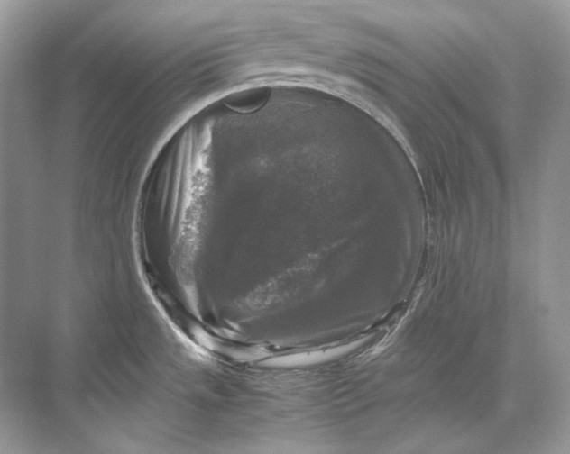 X0000071761533200607212357