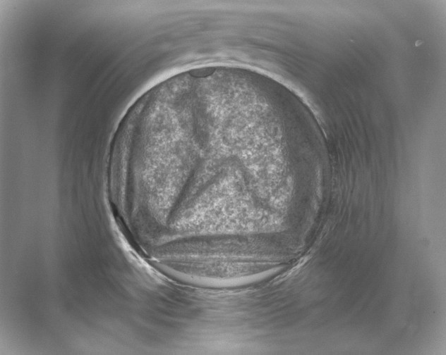 X0000071761534200607212357