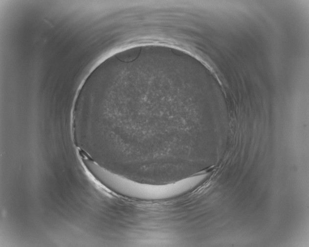 X0000071761535200607212357