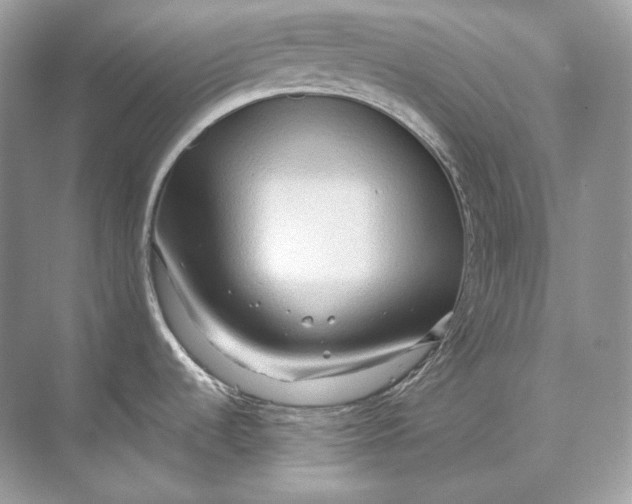 X0000071761536200607212357