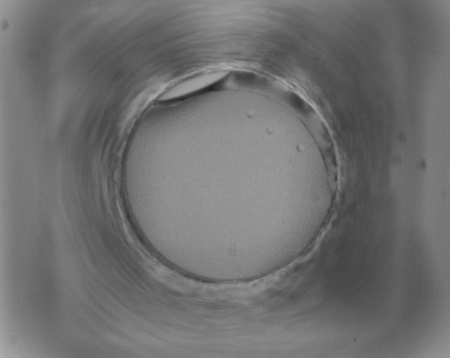 X0000071760001200607282159