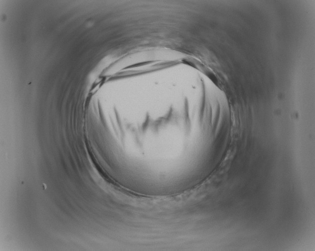 X0000071760003200607282159