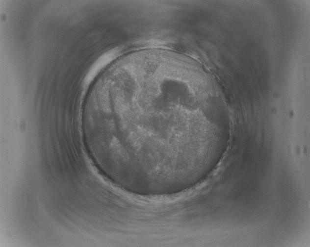 X0000071760006200607282159