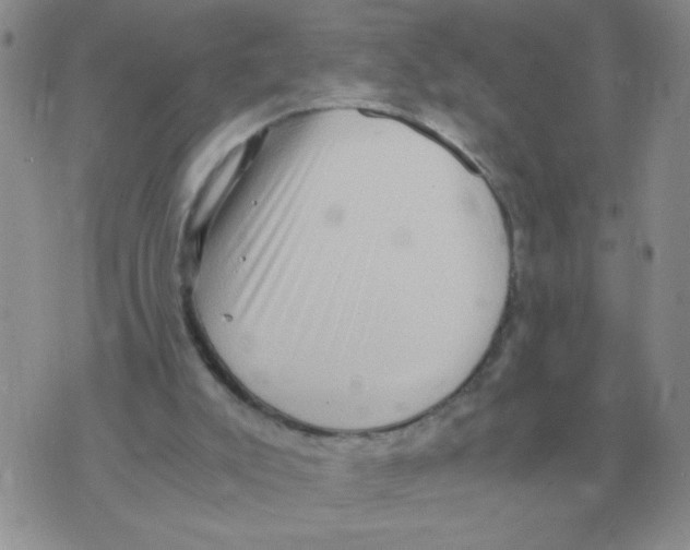 X0000071760007200607282159