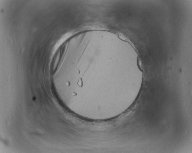 X0000071760008200607282159