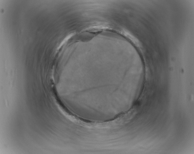 X0000071760009200607282159