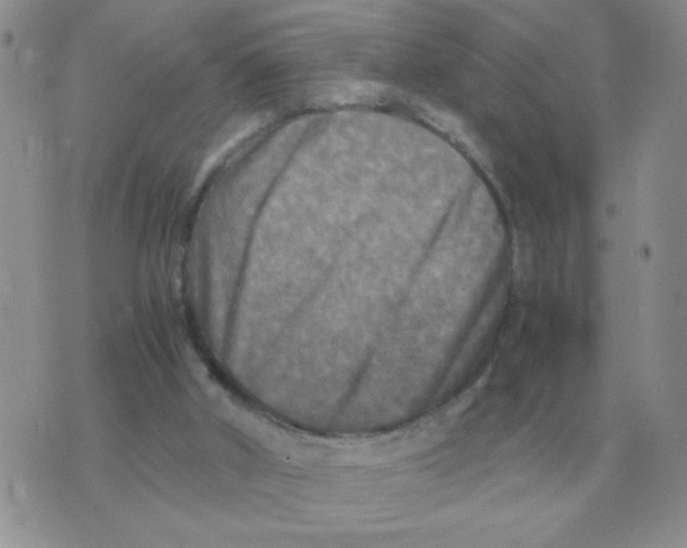 X0000071760010200607282159