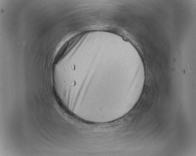 X0000071760011200607282159