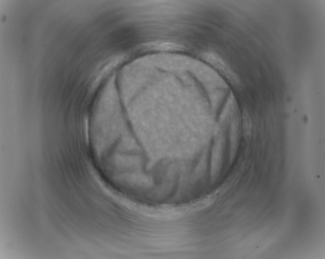 X0000071760014200607282159