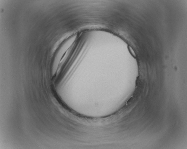 X0000071760015200607282159