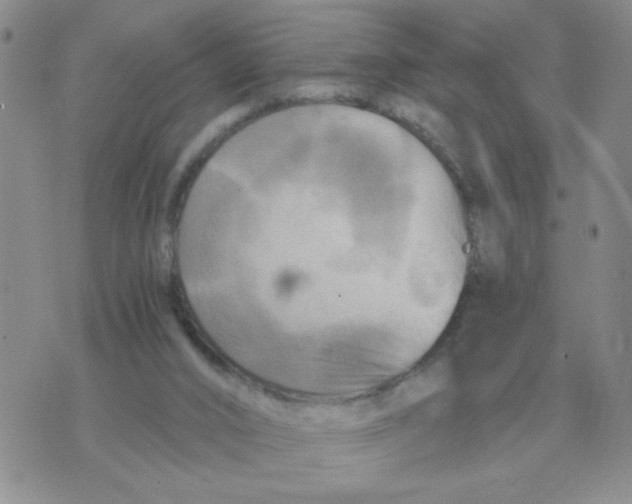 X0000071760016200607282159