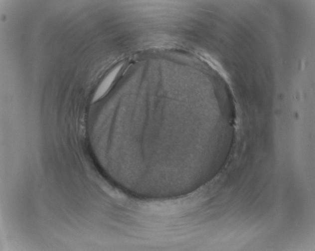 X0000071760017200607282159