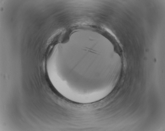 X0000071760019200607282159