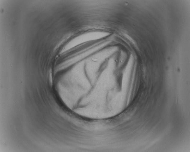 X0000071760020200607282159