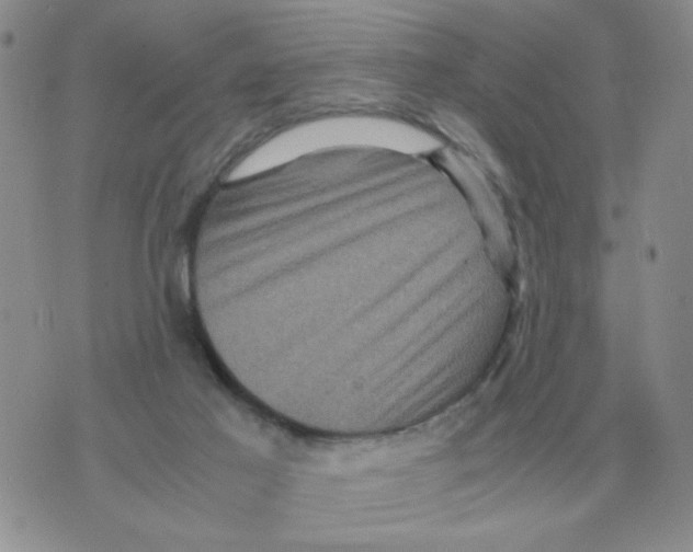 X0000071760021200607282159