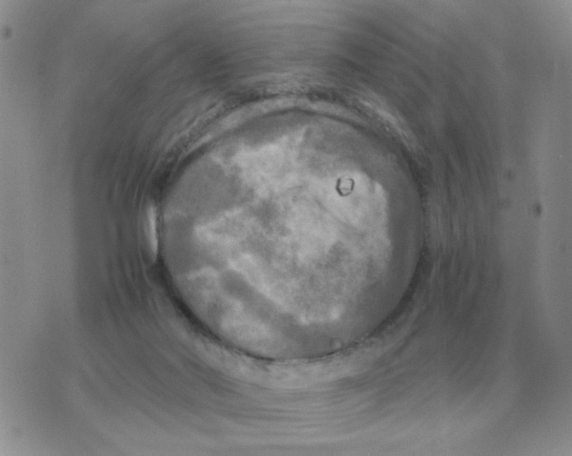 X0000071760022200607282159