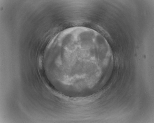 X0000071760026200607282159