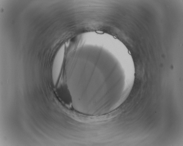 X0000071760027200607282159