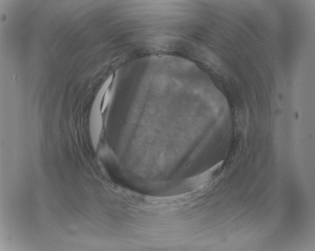 X0000071760029200607282159