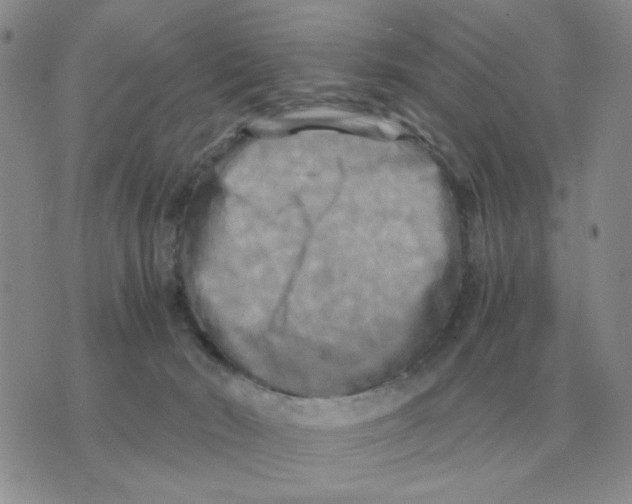 X0000071760030200607282159