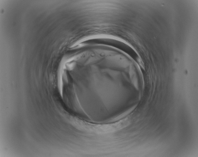 X0000071760031200607282159